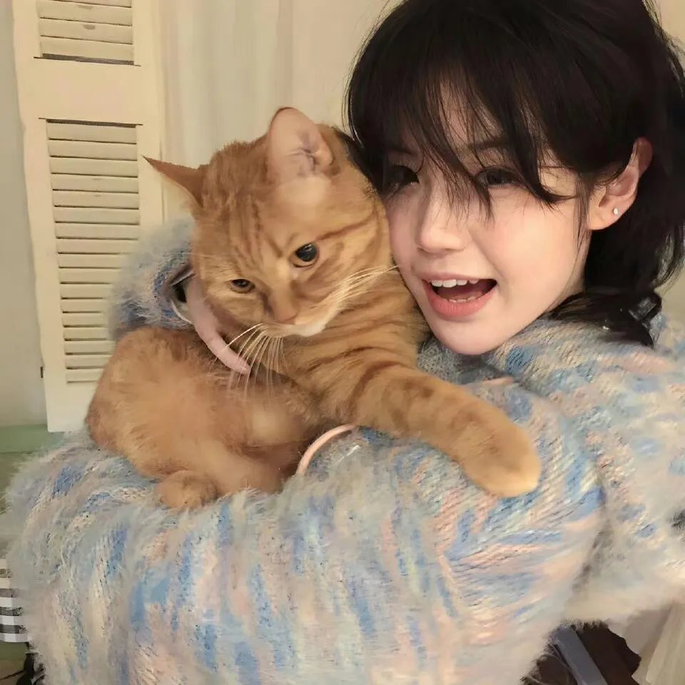 灯红酒绿杀人夜